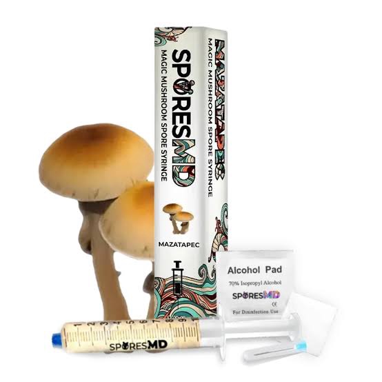 SPORES MD MAGIC MUSHROOM SPORE SYRINGE / MAZATAPEC